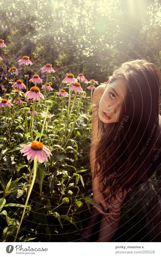 WE DREAM feminin 1 Mensch stehen Blume lang Haare & Frisuren Natur Garten Außenaufnahme Licht Vorderansicht langhaarig brünett Jugendliche Junge Frau