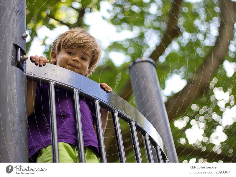 Ausblick Freizeit & Hobby Mensch Kind Kleinkind Junge 1 1-3 Jahre Umwelt Natur Baum Lächeln Spielen authentisch Gesundheit Glück hoch niedlich oben grün violett