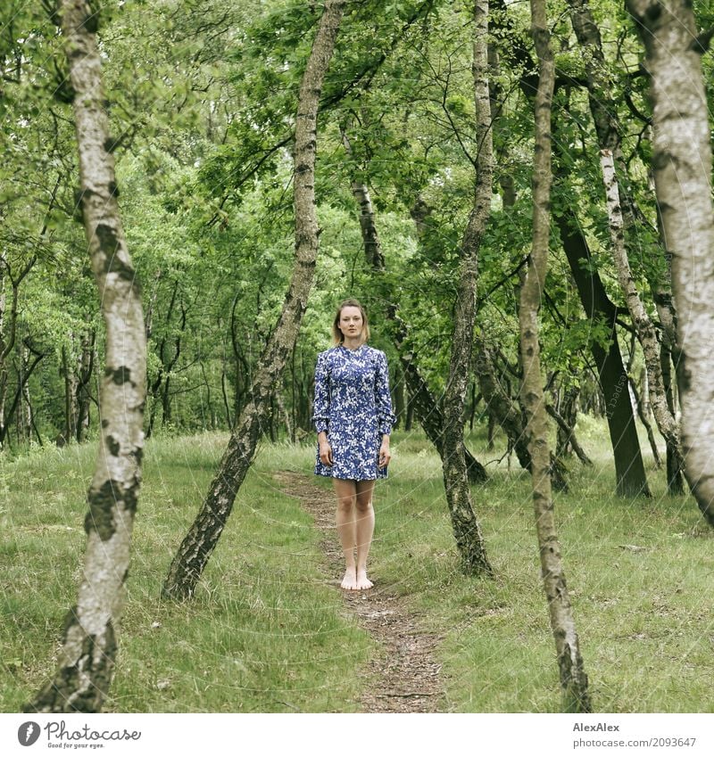 auf dem Weg Freude schön harmonisch Wohlgefühl Ausflug Sommer Junge Frau Jugendliche Beine 18-30 Jahre Erwachsene Landschaft Schönes Wetter Baum Birke