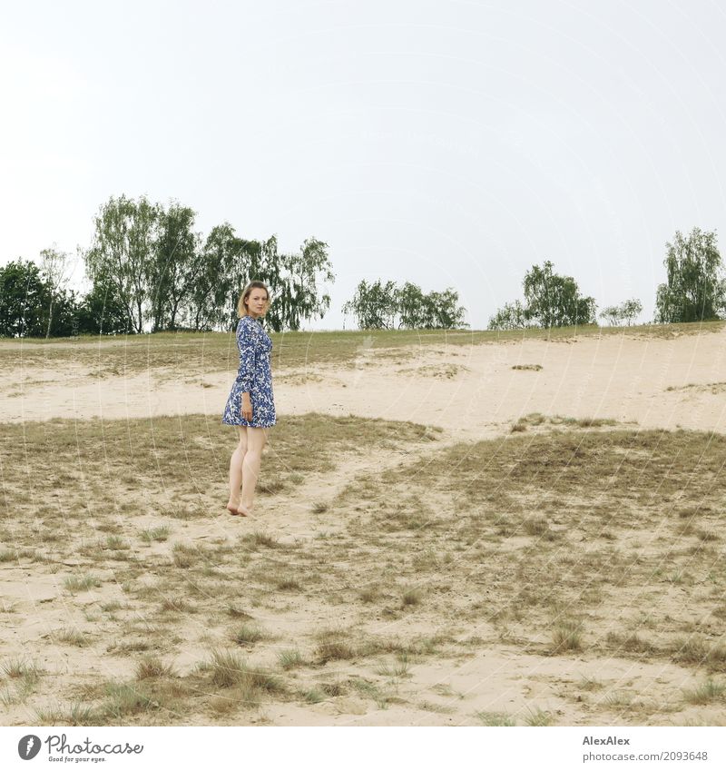 fast schon vergangen schön Ausflug Düne Dünengras Junge Frau Jugendliche 18-30 Jahre Erwachsene Natur Landschaft Erde Sommer Schönes Wetter Baum Sträucher