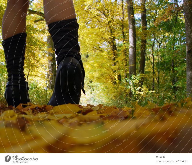 Hallooo Herbst ! Ferien & Urlaub & Reisen Ausflug wandern Mensch Junge Frau Jugendliche Beine 1 Natur Klima Schönes Wetter Baum Blatt Park Wald Stiefel
