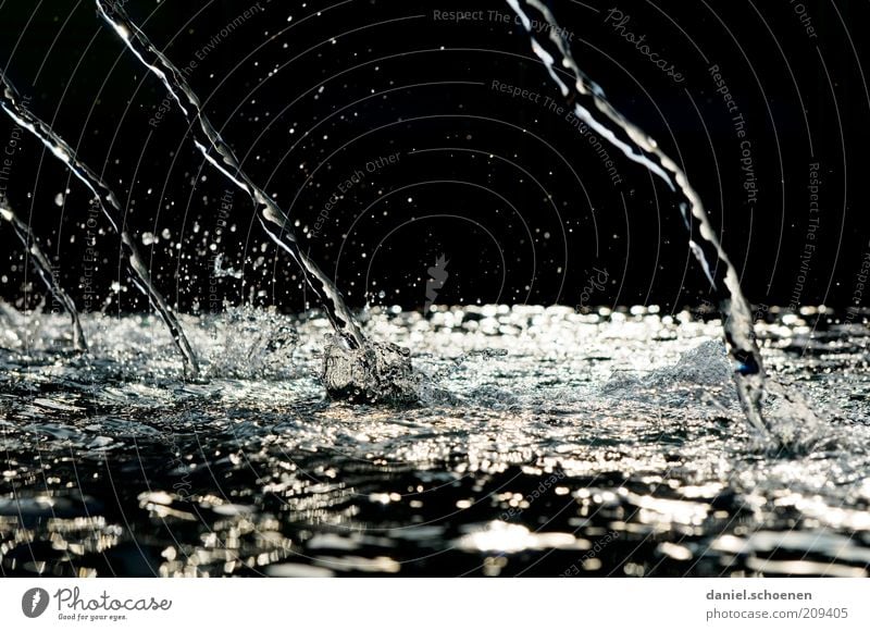 spritzig Wasser Wassertropfen schwarz silber weiß ästhetisch Bewegung bizarr Brunnen Flüssigkeit abstrakt Schatten Kontrast Reflexion & Spiegelung