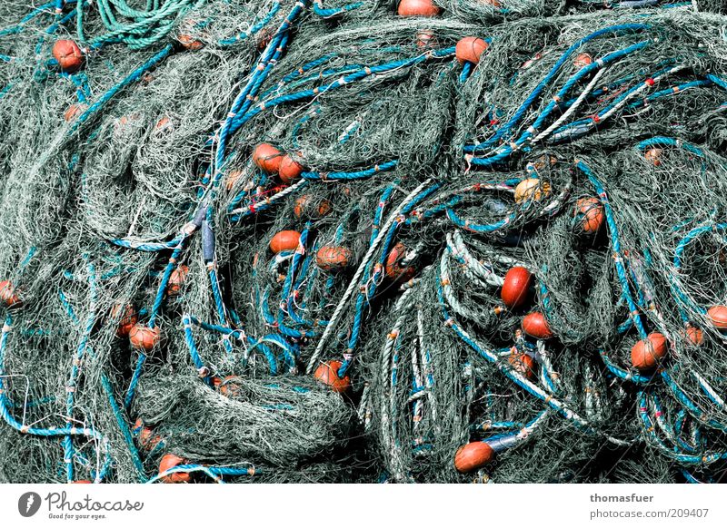Netzwerk Fischernetz Umweltverschmutzung Umweltschutz Farbfoto Außenaufnahme Tag Kontrast Bildausschnitt Fischereiwirtschaft Haufen chaotisch Rest unbrauchbar