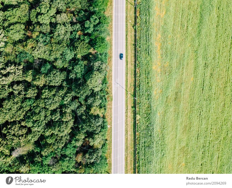 Luft-Drohne-Ansicht von beweglichen Autos auf Landstraße Ferien & Urlaub & Reisen Abenteuer Ferne Freiheit Sommer Landwirtschaft Forstwirtschaft Umwelt Natur