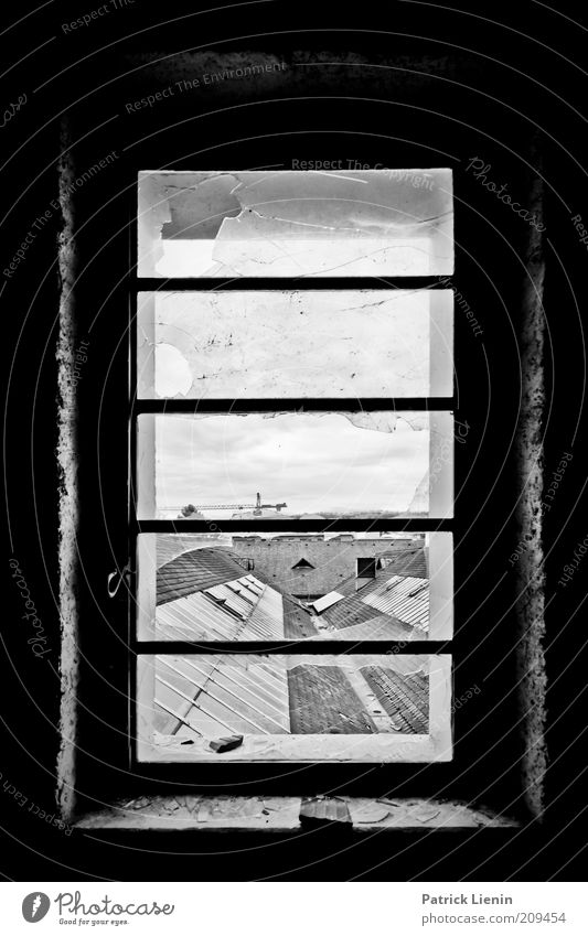 Fenster über den Dächern Menschenleer Bauwerk Gebäude Architektur Dach alt Blick dreckig dunkel kaputt Schwarzweißfoto Innenaufnahme Schatten Kontrast