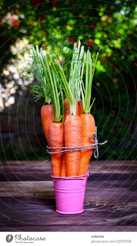 Frische Karotten Gemüse Ernährung Essen Vegetarische Ernährung Diät Garten Tisch Natur Pflanze Blatt Holz frisch natürlich grün rosa reif nützlich Ackerbau