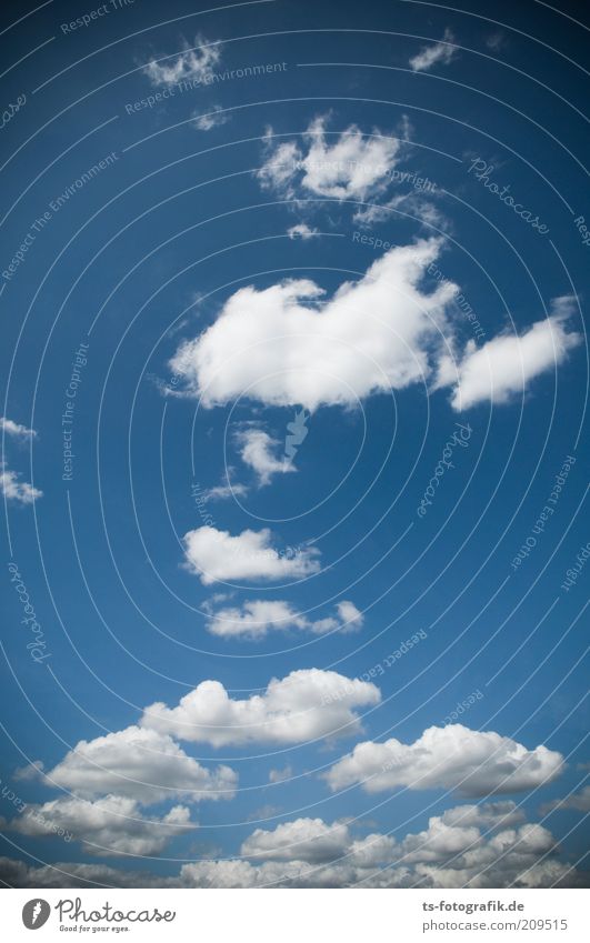 nordic Wolking II Umwelt Natur Urelemente Luft Himmel nur Himmel Wolken Klima Klimawandel Wetter Schönes Wetter Wind ästhetisch Unendlichkeit hoch natürlich
