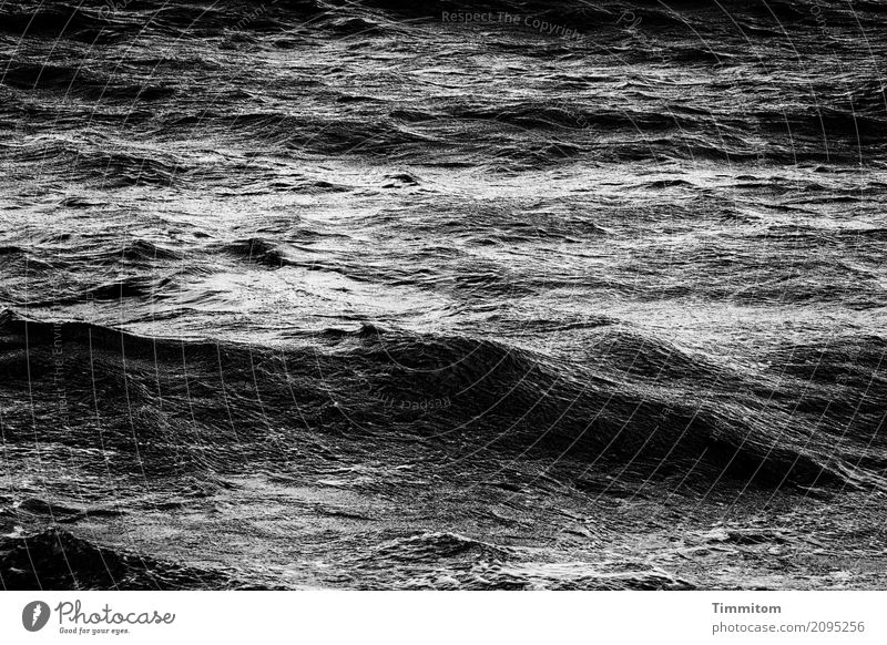 Nordsee | The Dark Side Ferien & Urlaub & Reisen Umwelt Natur Urelemente Wasser Dänemark ästhetisch dunkel grau schwarz weiß Gefühle Wellen Schwarzweißfoto