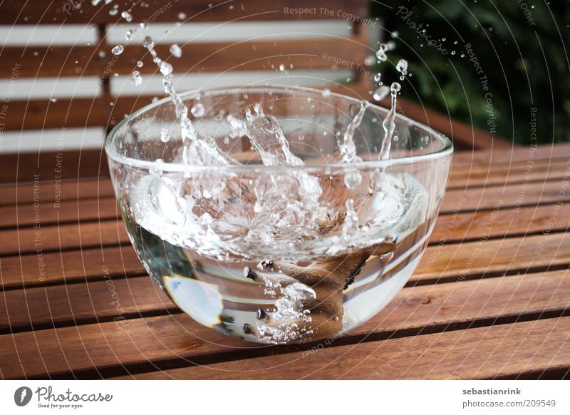 schuessel der zweite Esel fallen Schalen & Schüsseln Wasser Wassertropfen platschen Glas Farbfoto Außenaufnahme Nahaufnahme Menschenleer Tag Zentralperspektive