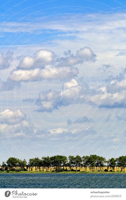 Wolken über Rügen Meer Umwelt Natur Landschaft Himmel Sommer Schönes Wetter Küste Ostsee blau weiß Farbfoto Außenaufnahme Textfreiraum oben Tag Menschenleer