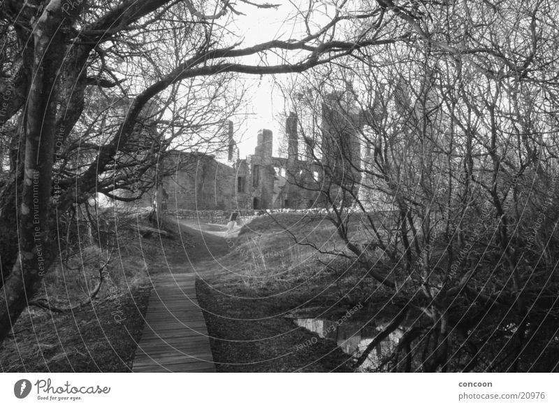 Agatha Christie's Moorlands.. Ruine dunkel grauenvoll unheimlich Schottland morsche Bäume Burg oder Schloss