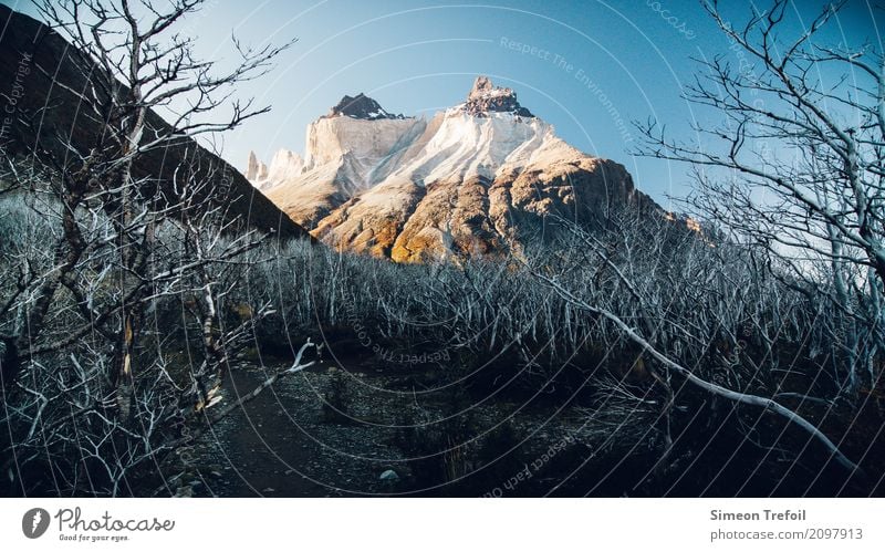 Dead and Life Tourismus Abenteuer Ferne Freiheit Berge u. Gebirge wandern Landschaft Herbst Baum Anden Cerro Torre Torres del  Paine Gipfel Wege & Pfade