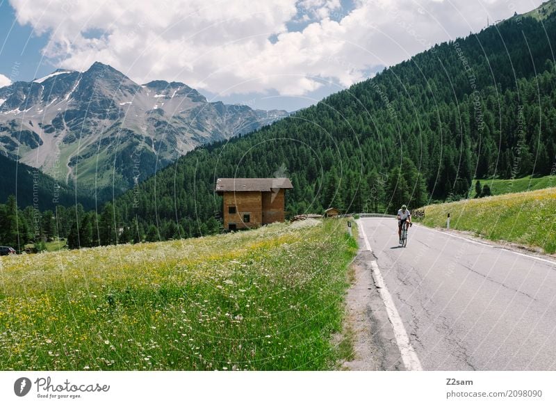 Tour de Dad Freizeit & Hobby Ferien & Urlaub & Reisen Berge u. Gebirge Sportler Fahrradfahren Mann Erwachsene 45-60 Jahre Natur Landschaft Sonne Sommer
