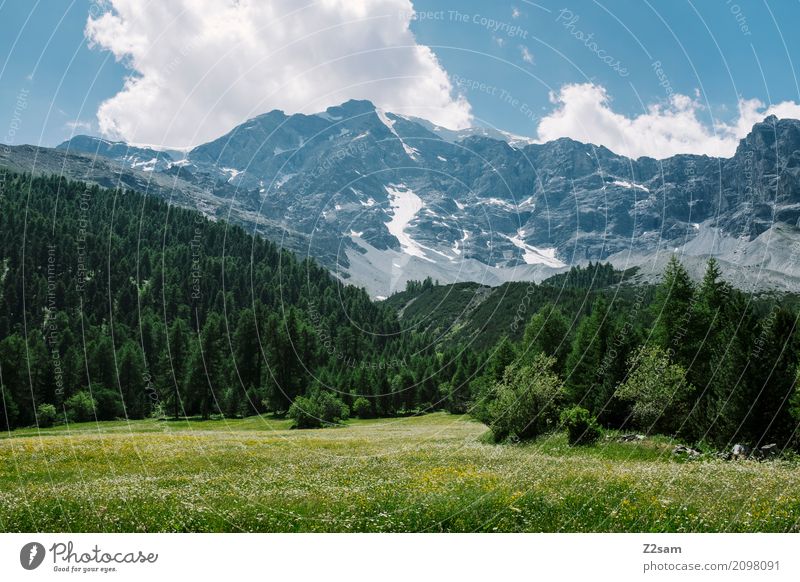 Sulden Umwelt Natur Landschaft Himmel Wolken Sommer Klima Schönes Wetter Wiese Wald Felsen Alpen Gipfel Gletscher hoch nachhaltig natürlich blau grün ruhig