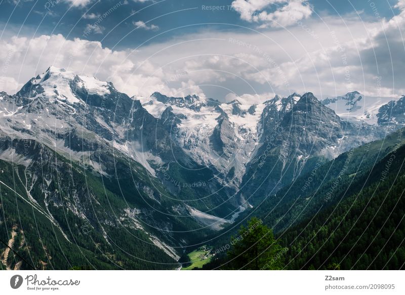 Ortler Umwelt Natur Landschaft Himmel Wolken Sommer Schönes Wetter Alpen Berge u. Gebirge Gipfel Gletscher bedrohlich dunkel Ferne gigantisch groß hoch