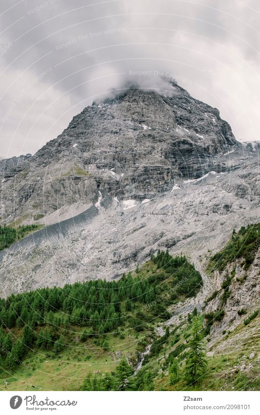 raucher Umwelt Natur Landschaft Wolken schlechtes Wetter Nebel Wald Felsen Alpen Berge u. Gebirge Gipfel Gletscher bedrohlich hoch kalt grau grün Abenteuer