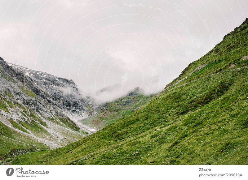 Passo dello Stelvio Umwelt Natur Landschaft schlechtes Wetter Nebel Wiese Felsen Alpen Berge u. Gebirge Gipfel Gletscher Straße Wege & Pfade bedrohlich dunkel