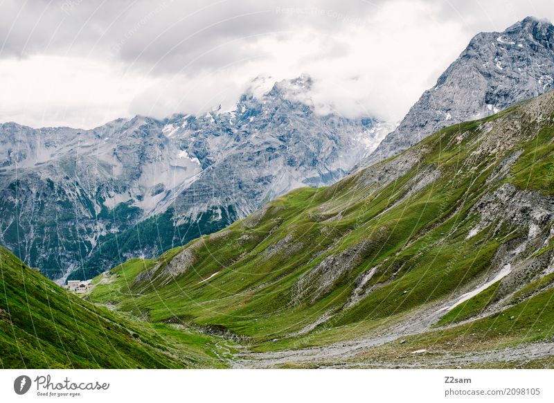 Stilfser Joch Umwelt Natur Landschaft Himmel Wolken schlechtes Wetter Felsen Alpen Berge u. Gebirge Gipfel Gletscher gigantisch hoch grün Abenteuer Einsamkeit