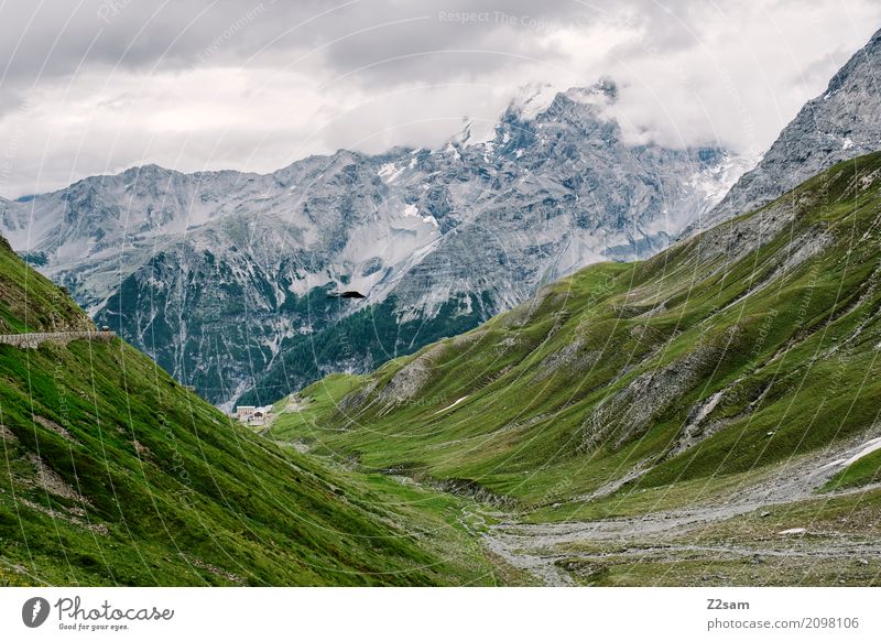 Stilfser Joch Umwelt Natur Landschaft Himmel Wolken schlechtes Wetter Alpen Berge u. Gebirge Gipfel Gletscher Straße Hochstraße gigantisch hoch natürlich grün