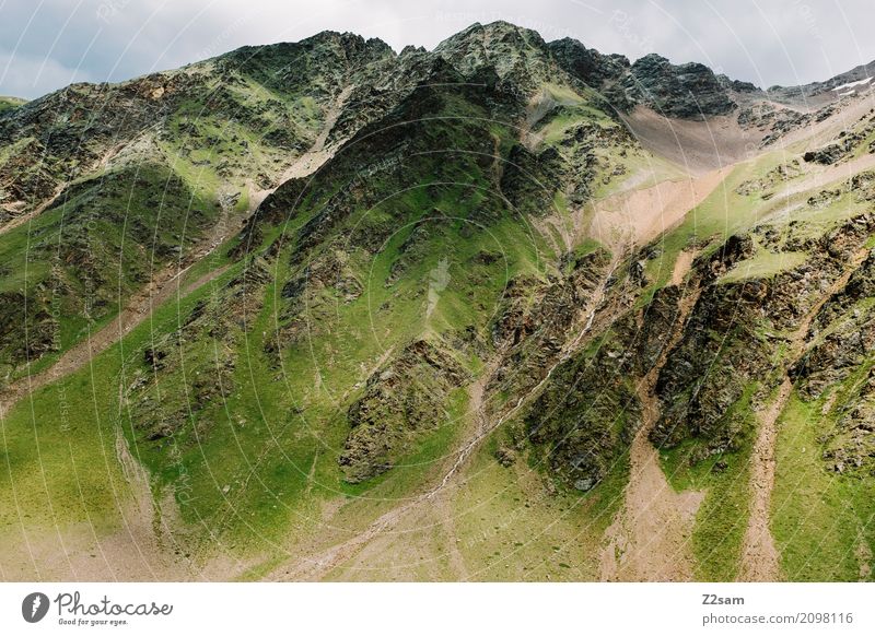 Umbrail Fahrradfahren Umwelt Natur Landschaft Himmel Wolken Klima Klimawandel schlechtes Wetter Wiese Alpen Berge u. Gebirge Gipfel Gletscher gigantisch