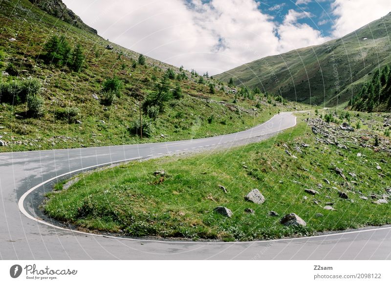 umbrailpass Fahrradfahren Natur Landschaft Sommer Klima Schönes Wetter Wiese Felsen Berge u. Gebirge Gletscher Straße Wege & Pfade Hochstraße natürlich grün