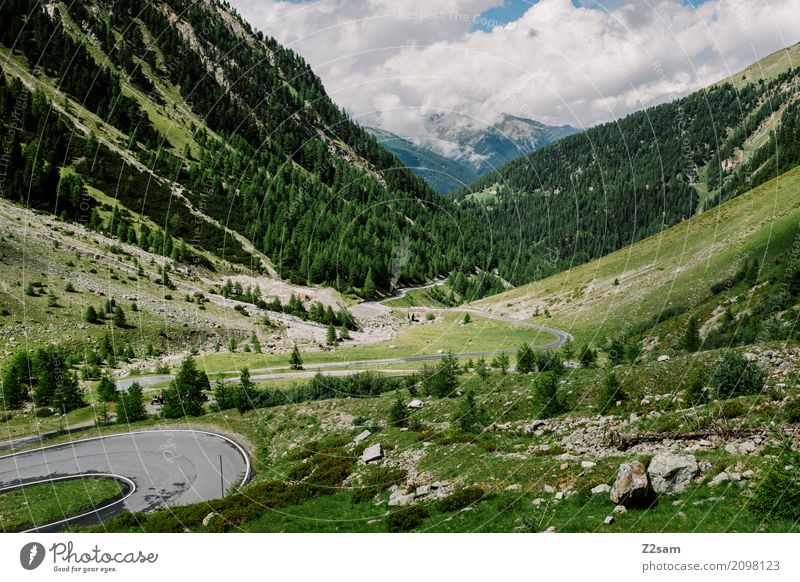 Umbrailpass Fahrradfahren Natur Landschaft Sommer Schönes Wetter Wiese Alpen Berge u. Gebirge Gletscher Hochstraße gigantisch Unendlichkeit hoch natürlich blau