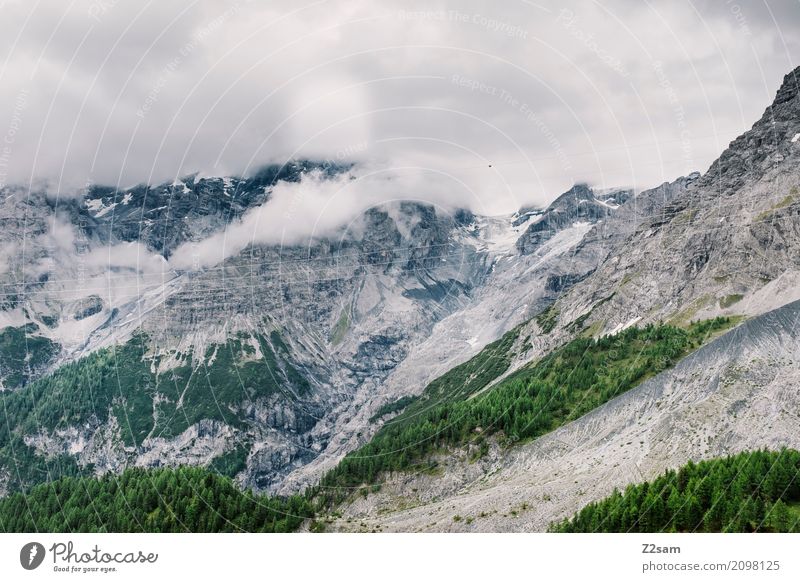 ortler Umwelt Natur Landschaft Himmel Wolken schlechtes Wetter Nebel Gewitter Wald Alpen Berge u. Gebirge Gipfel Gletscher bedrohlich gigantisch hoch natürlich