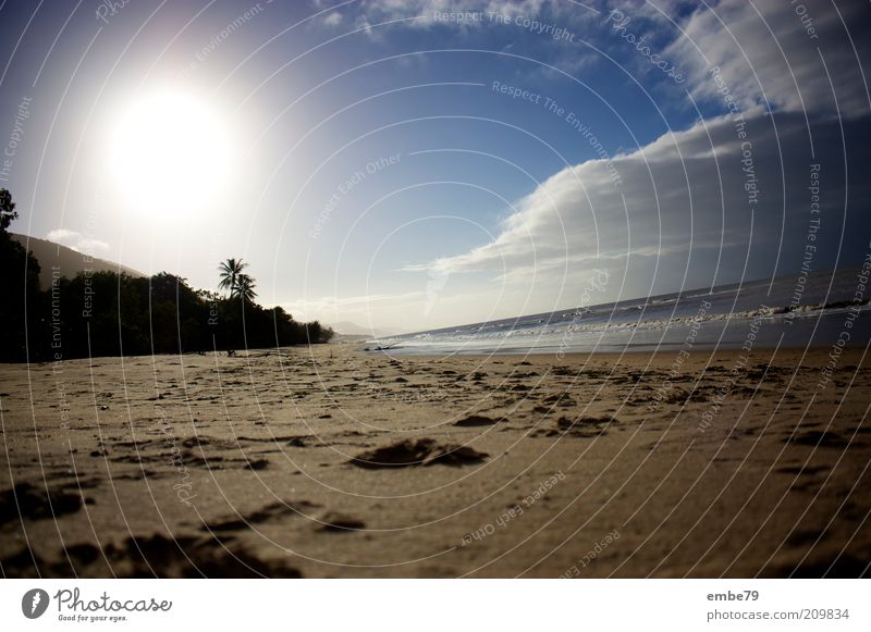 Palm Cove Umwelt Natur Landschaft Sand Wasser Himmel Wolken Sonne Sonnenlicht Schönes Wetter Strand Bucht Erholung Ferien & Urlaub & Reisen Wärme blau braun