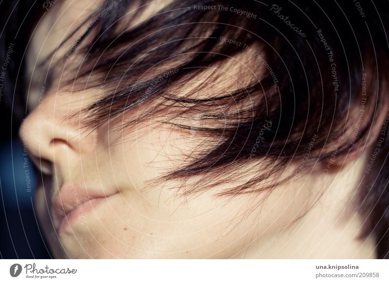 haar feminin Haare & Frisuren Gesicht 1 Mensch 18-30 Jahre Jugendliche Erwachsene Wind brünett berühren Bewegung Haarsträhne wehen dunkelhaarig Frauennase