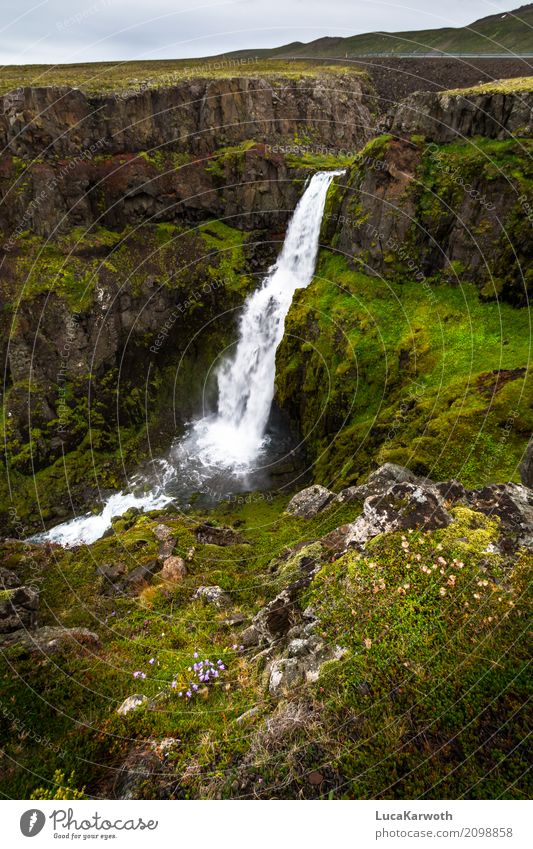 Wasserfall Island Umwelt Natur Landschaft Pflanze Wetter Blume Gras Sträucher Moos Felsen Berge u. Gebirge Bucht Menschenleer Sehenswürdigkeit Straße Stimmung