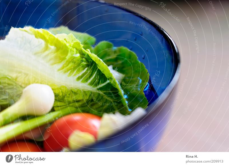 Vitamine Lebensmittel Gemüse Salat Salatbeilage Tomate Ernährung Bioprodukte Vegetarische Ernährung Diät Schalen & Schüsseln Gesundheit blau grün rot Farbfoto