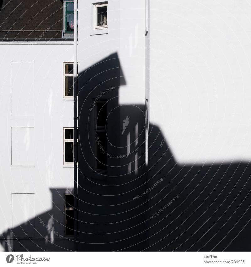 schattiert Stadt Haus Mauer Wand Fassade Fenster Ordnung Schwarzweißfoto Außenaufnahme Licht Schatten Kontrast Silhouette Menschenleer Stadthaus