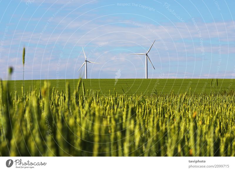 Landschaft mit Windmühlen für grüne elektrische Energie Industrie Technik & Technologie Umwelt Natur Himmel Klima Metall nachhaltig Sauberkeit blau Elektrizität
