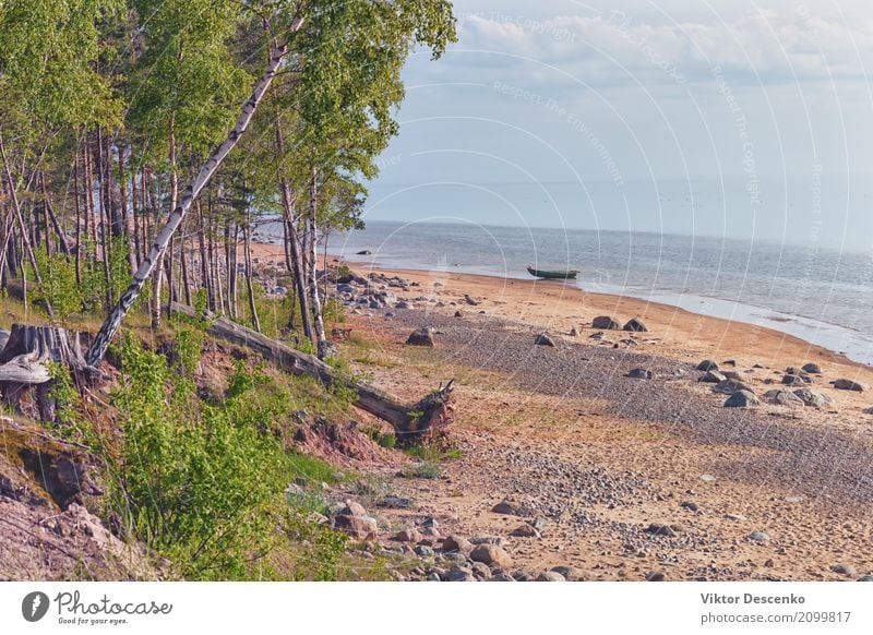 Wilder Strand der Ostsee im Frühjahr schön ruhig Ferien & Urlaub & Reisen Tourismus Sommer Sonne Meer Umwelt Natur Landschaft Himmel Wolken Horizont Herbst