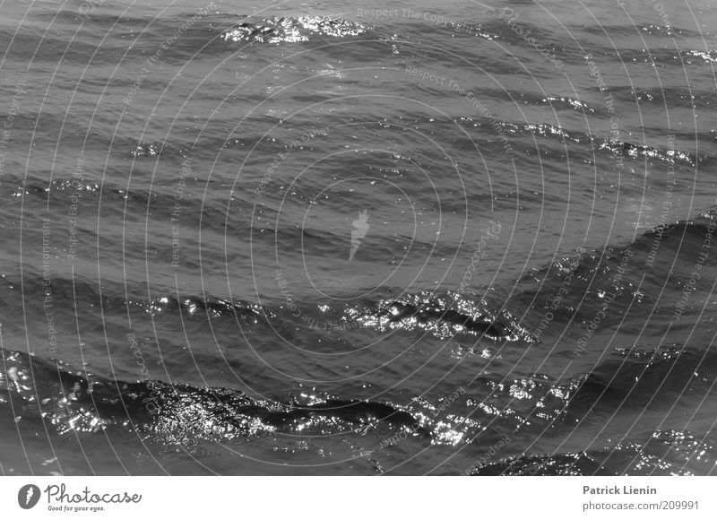 black water Umwelt Urelemente Wasser Klima Wind Wellen Nordsee Meer beobachten Bewegung entdecken genießen Blick außergewöhnlich bedrohlich dunkel Flüssigkeit