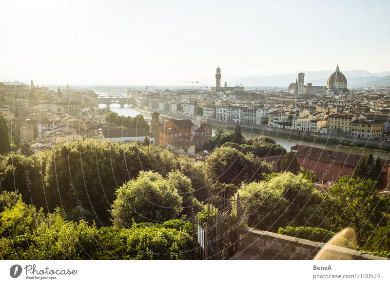 Panorama Blick über Florenz mit Ponte Vecchio, Dom und Altstadt Lifestyle Reichtum Stil Ferien & Urlaub & Reisen Tourismus Sightseeing Städtereise Sommer