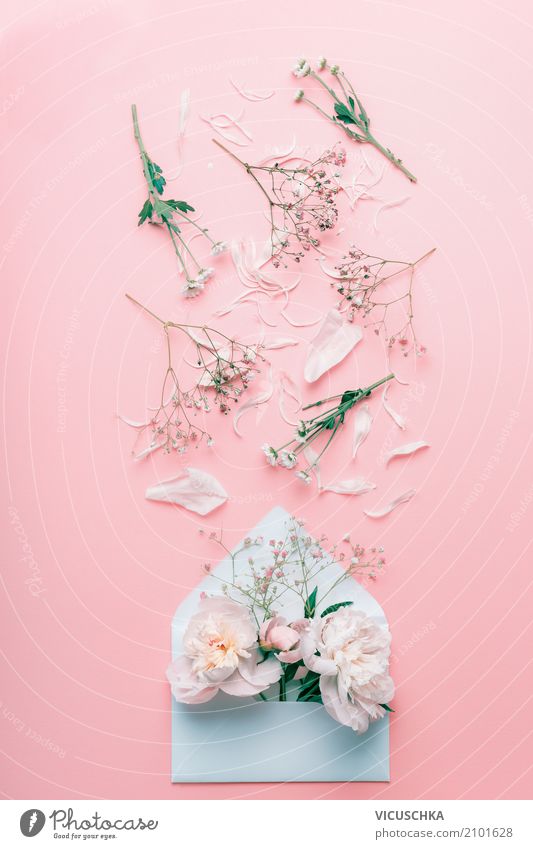 Geöffnete Brief Umschlag mit Pastellblumen und Blütenblättern Lifestyle Stil Design Feste & Feiern Valentinstag Muttertag Hochzeit Geburtstag Natur Pflanze