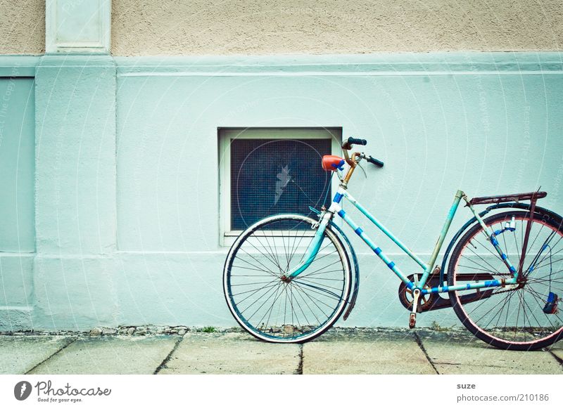 Eierfeile Haus Fahrrad Mauer Wand Fenster Rost alt kaputt retro authentisch Schrott schrottreif türkis Verfall verfallen Abnutzung Damenfahrrad Fahrradrahmen