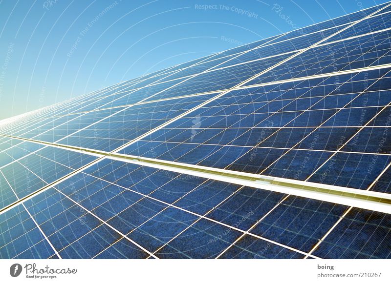 solar Energiewirtschaft Technik & Technologie Wissenschaften Fortschritt Zukunft High-Tech Erneuerbare Energie Sonnenenergie Schönes Wetter Solarzelle