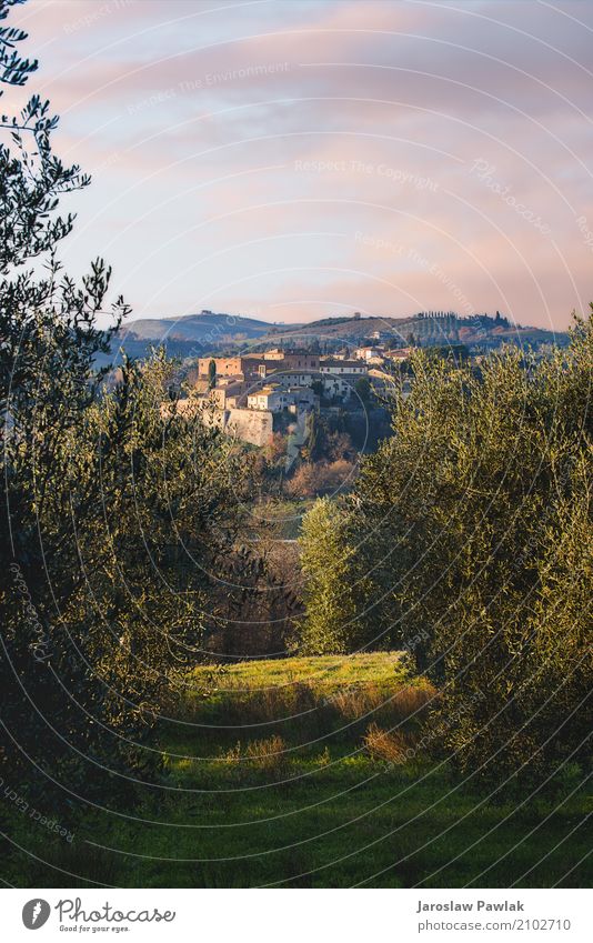 Panoramablick auf die San Giovanni d'Asso in der Toskana. schön Ferien & Urlaub & Reisen Tourismus Sommer Haus Kultur Landschaft Himmel Hügel Dorf Stadt Gebäude