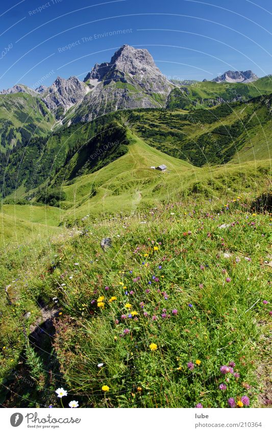 Alpe Derren 3 Ferien & Urlaub & Reisen Tourismus Ausflug Ferne Sommer Sommerurlaub Berge u. Gebirge Umwelt Natur Landschaft Pflanze Wolkenloser Himmel Horizont