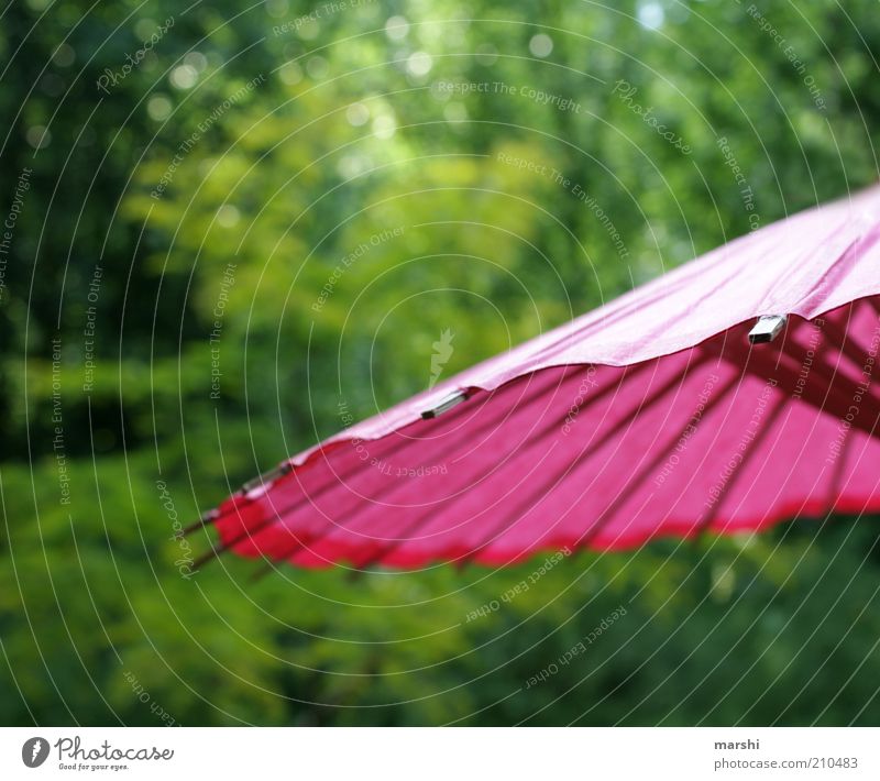 sunshining day Freizeit & Hobby Garten Park grün rosa Sonnenschirm Papier Baum Natur Sommer sommerlich Sommertag Farbfoto Außenaufnahme Schutz Wetterschutz