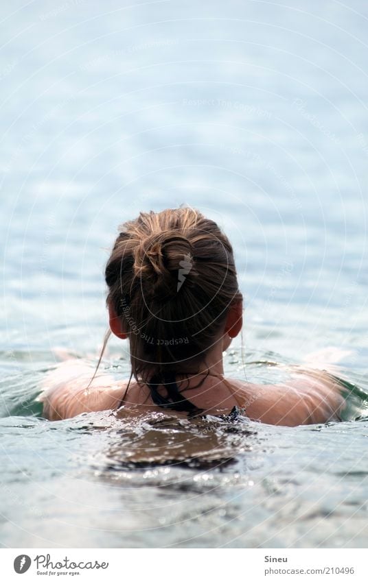 Frau schwimmt Schwimmen & Baden Ferien & Urlaub & Reisen Sommerurlaub Meer Wassersport Erwachsene Kopf Haare & Frisuren Rücken Schulter 1 Mensch Schönes Wetter