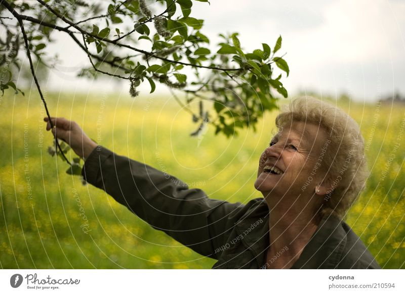 Lebenslust Lifestyle Wohlgefühl Zufriedenheit Mensch Weiblicher Senior Frau 45-60 Jahre Erwachsene Natur Wiese einzigartig Erfahrung Freiheit Freude Gefühle
