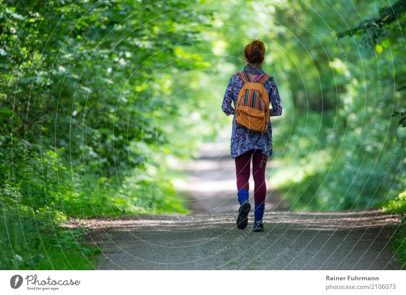 eine Frau geht einsam ihren Weg Mensch feminin Erwachsene 1 Natur Landschaft Frühling Sommer Wald Wege & Pfade gehen laufen Ferien & Urlaub & Reisen wandern