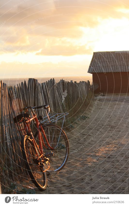 Weg zum Strand im Abendlicht mit roten Fahrrad am Holzzaun Ferne Freiheit Fahrradtour Sommer Sommerurlaub Sonne Frankreich Sand Himmel Wolken Horizont
