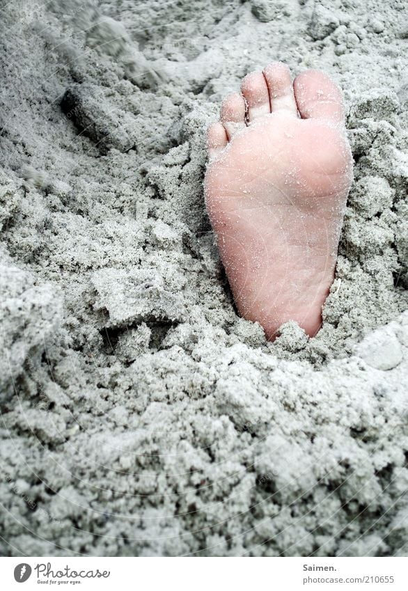eingebuddellt Kind Fuß Sand Strand Zehen Fußsohle Farbfoto Außenaufnahme Nahaufnahme Detailaufnahme Tag Kinderfuß vergraben Kitzel Barfuß