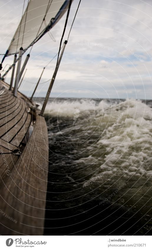 Den Horizont im Blick Ausflug Abenteuer Ferne Freiheit Sommer Meer Wellen Wassersport Segeln Natur Wolken Wetter Wind Sturm Ostsee Verkehr Jacht Segelboot