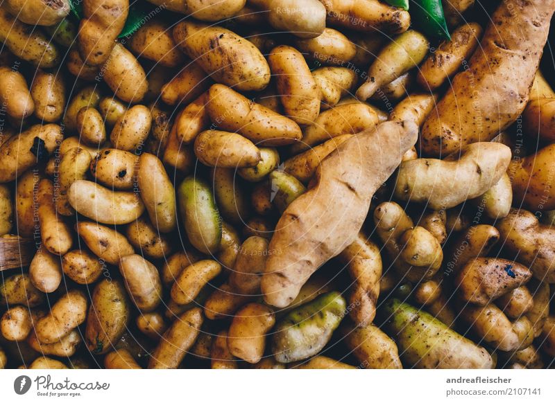 Road Trip // West Coast USA Lebensmittel Gemüse Ernährung einfach Strukturen & Formen Kartoffeln Markt Bioprodukte biologisch klein groß Verschiedenheit braun