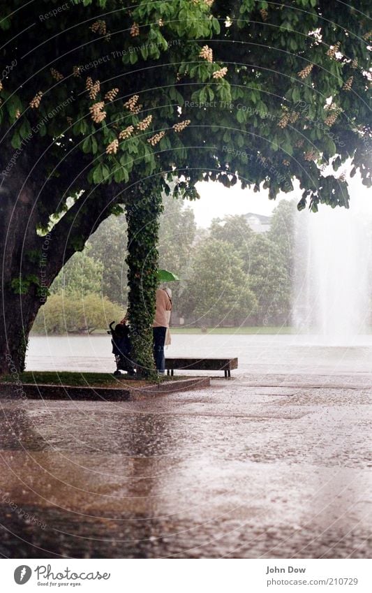 Wenn jetzt Sommer wär Freizeit & Hobby 1 Mensch schlechtes Wetter Regen Baum Sträucher Park Regenschirm nass Schutz Traurigkeit Einsamkeit feucht Springbrunnen